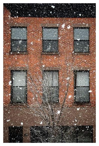 Six upper-level windows — three each on the second and third floors — in the brick facade of an apartment building, seen through a heavy snowfall. The windows are bordered by a dark rooftop above and dark street-level windows below, as well as the slender leafless branches of a tree in front of the building. The figure of a white goose or swan, apparently a sculpture, can be dimly seen in the upper middle window. Snowflakes pepper the image, dominated by the larger, fatter flakes closer to camera.