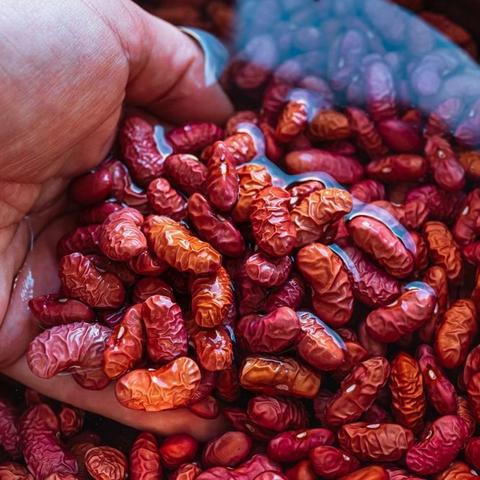 Man's hand lifting beans out of a container full of water thathas been covering the beans