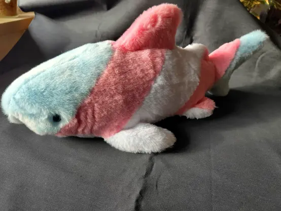 A shark plushie with diagonal stripes in trans flag colors.