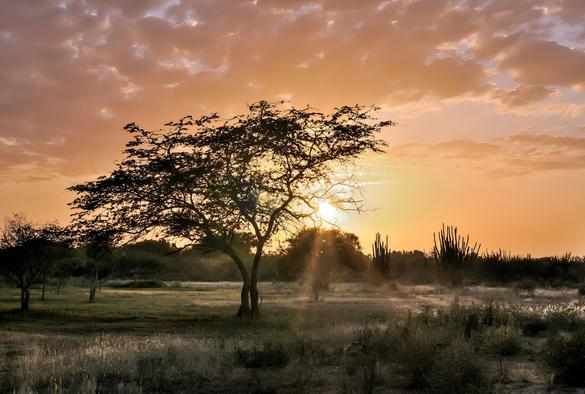 "Backlit Margarita Island Sunset in Las Guevaras, Venezuela"