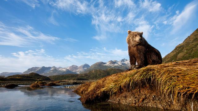 Gone fishing - © Paul Souders / Stone / Getty Images