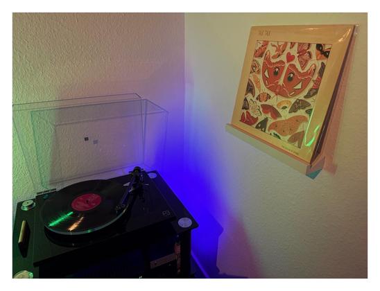 Auf einem schwarzen Plattenspieler läuft eine schwarze Schallplatte. Rechts an der Wand ist ein kleines weißes Regalbrett, darauf steht das Cover. Cremefarben, mittig ist ein quadratisches Bild mit verschiedenen Schmetterlingen.