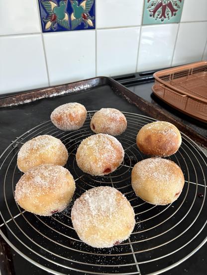 Eight jelly filled donuts are sitting on a cooling rack