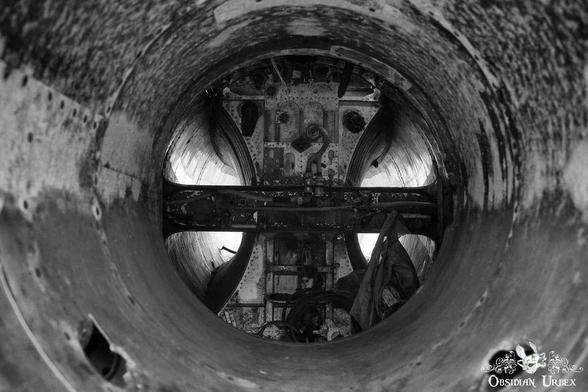 Looking in the nose of the plane