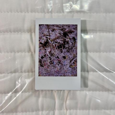 Instant photo of a locked bike buried under the confetti steings on a foil-coated duvet.