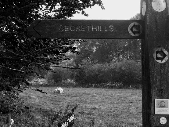 A wooden sign pointing towards "SECRETHILLS" with surrounding trees and a grassy field in black and white. Markers and stickers are visible on the post.