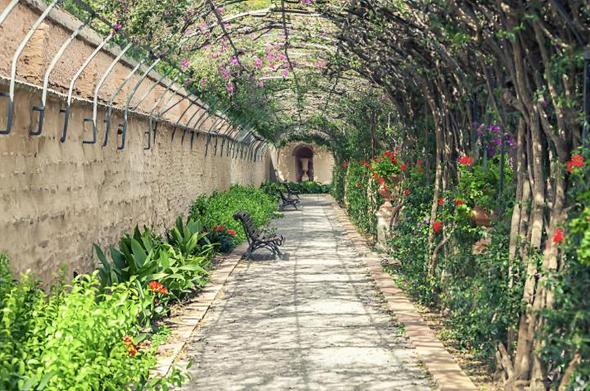 Discreto y elegante, este jardín neoclásico es uno de los secretos mejor guardados de Valencia. Concebido en el siglo XIX como jardín de recreo privado, Monforte destaca por su trazado geométrico, esculturas de mármol, setos perfectamente recortados y estanques silenciosos. Es un espacio íntimo donde el bullicio urbano queda atrás apenas se cruza su entrada. (Getty Images)