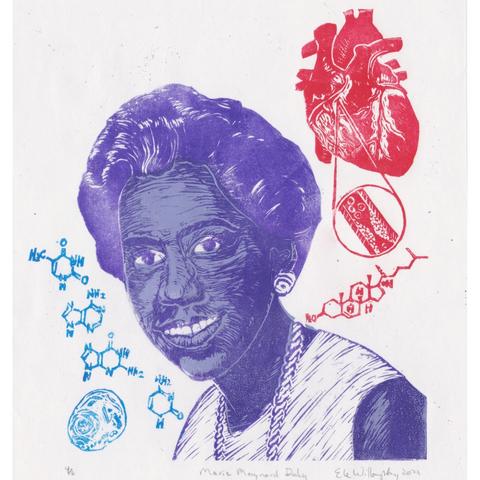 My linocut portrait of Marie Maynard Daly in purples (she’s a young smiling Black woman, wearing earrings, a necklace and a dress, looking at the viewer over her shoulder). Above her to the right is an anatomical heart with a blowout diagram in a circle of a clogged artery and the cholesterol molecule all in red. Next to her on the left in blue are the molecules of the bases which make up DNA and a diagram of a human cell.