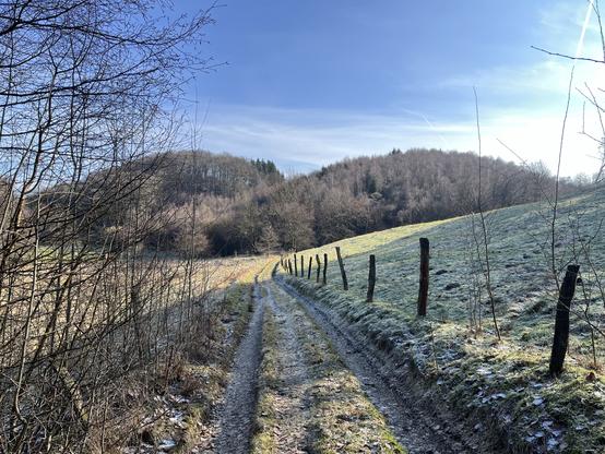 Ein gewundener Feldweg führt durch eine ruhige Landschaft mit frostigem Gras und einem Holzzaun daneben. Hügel und kahle Bäume bilden die Kulisse unter einem klaren blauen Himmel.
