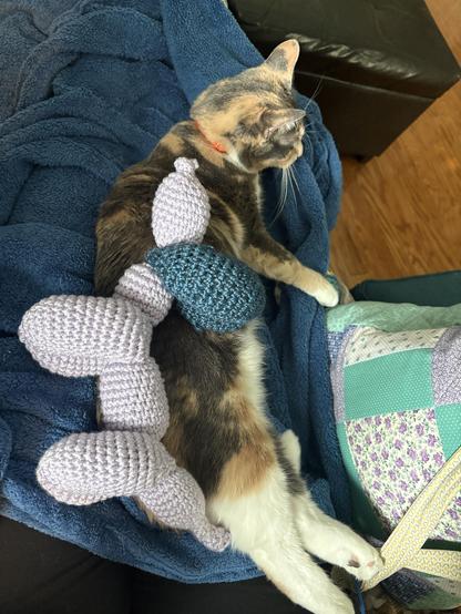 The lumps have been reconfigured into a balloon animal dog. Still with cat.