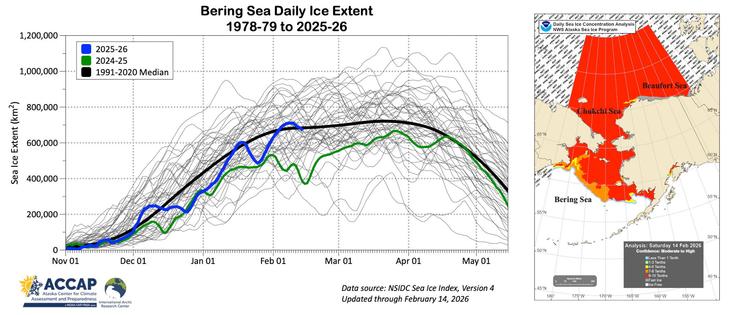 Left: Bering Sea daily sea ice extent 1978-79 to 2025-26 with the past two seasons and smoothed 1991-2020 median highlighted. Right: NWS Alaska Region sea ice concentration analysis to February 14, 2026.