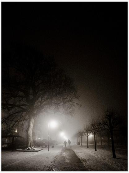 A foggy night scene featuring two silhouettes of a couple walking along a snow-covered path, flanked by bare trees and illuminated by street lamps. On the right a dominant silhouette of a big tree can be seen. On the right a row of smaller trees. The photo was shot in black and white.