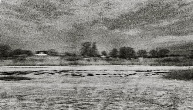 A black and white landscape panorama of a snowy field with trees in the distance.
