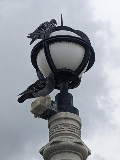 Looking up at the top of a lamppost where two gray birds are perched. The pole is gray. The sky is gray. The lamp, unlit, is a smooth ball wrapped with one horizontal metal band around the middle and two vertical bands at right angles, atop a narrow pedestal at the top of the pole. A spike sticks up from the top. The lamp looks like a featureless globe. And it's also gray.