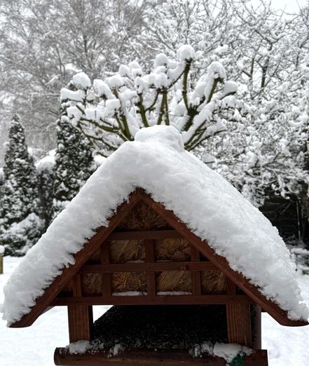 Frischer Schnee auf Bäumen, im Vordergrund ein braunes Vogelhäuschen mit einer Schneehaube. 16.2.26