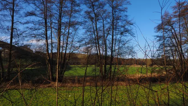 Grüne Landschaft im Sonnenschein