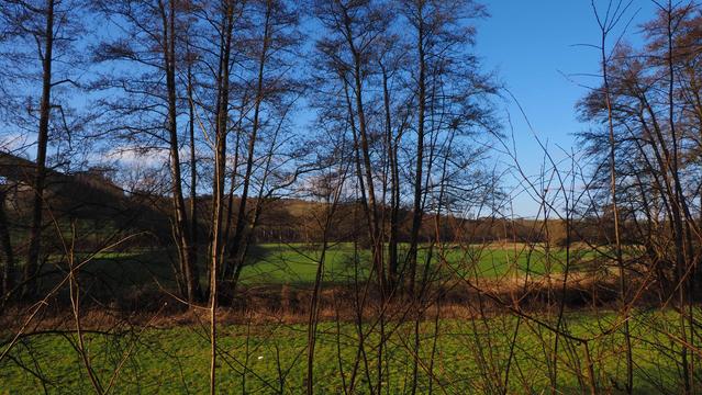 Grüne Landschaft im Sonnenschein