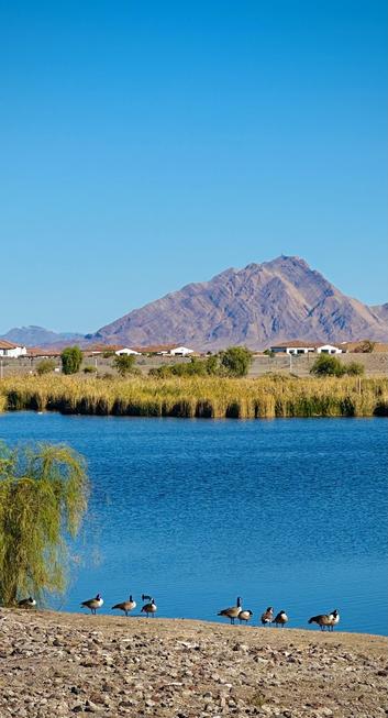 A serene landscape featuring a blue lake surrounded by rocky terrain and green vegetation. Several ducks are standing along the water's edge, with a backdrop of mountains and clear blue sky.