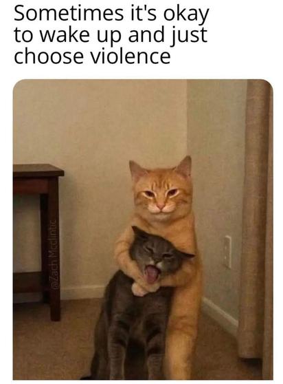 The image features two cats in a room with beige walls and a brown carpet. The larger orange cat is standing upright, wrapping its front legs around the smaller gray cat, holding it closely. The gray cat appears to be mid-yawn or vocalizing with its mouth wide open. The background includes part of a small wooden table on the left side and a curtain on the right. The lighting is warm and soft.

Transcribed Text:

"Sometimes it's okay to wake up and just choose violence"