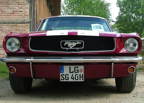 Das Bild zeigt die Front eines klassischen dunkelroten Ford Mustang Coupés, der auf einem sandigen Untergrund parkt. Die Perspektive ist frontal und leicht von unten, wodurch das Auto dominant wirkt.

Das Fahrzeug hat eine rote Lackierung mit zwei breiten, weißen Rennstreifen, die über die Motorhaube und das Dach verlaufen. Deutlich sichtbar ist der schwarze Kühlergrill, in dessen Mitte das chromglänzende Mustang-Logo mit dem galoppierenden Pferd angebracht ist. Die runden Scheinwerfer sind verchromt und fangen das Licht ein. Ein glänzender Chromstoßfänger verläuft über die gesamte Breite des Fahrzeugs und wird von zwei seitlichen, runden orangen Blinkern flankiert. Unterhalb des Stoßfängers befindet sich die rote Karosserie, an der ein deutsches Nummernschild mit der Aufschrift "LG SG 40H" befestigt ist.

Im Hintergrund sind ein Teil eines alten Backstein-Gebäudes mit Holzbalken und üppiges grünes Laub von Bäumen zu sehen. Das Licht scheint von oben zu kommen, was zu leichten Schatten auf dem Nummernschild und dem Reifen führt. Die Komposition konzentriert sich stark auf die Front des Autos, wobei der Hintergrund nur unscharf angedeutet ist und keine eigene Aufmerksamkeit erregt. Die Farben sind satt und die glänzenden Oberflächen des Autos spiegeln die Umgebung leicht wider. Insgesamt vermittelt das Bild den Eindruck eines gut erhaltenen Oldtimers, der in einer ländlichen oder historischen Umgebung präsentiert wird.