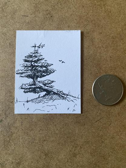 A drawing of a tree with two birds in the background. There is a quarter next to the drawing for scale.
