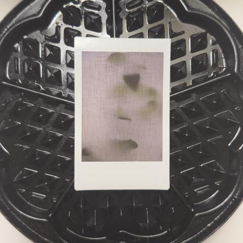 Instant photo of a room plant behind a curtain on a oily waffle iron.