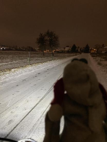 Kleiner dino schaut auf den schnee