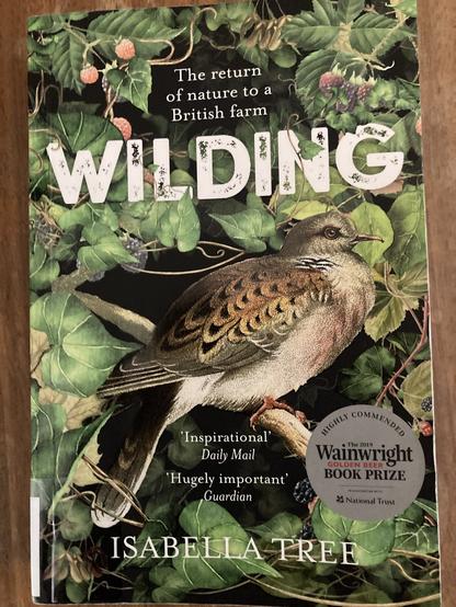 Cover of Wilding by Isabella Tree featuring leaves and a turtle dove