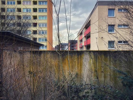 Blick auf Wohngebäude hinter einer vermoosten Betonmauer, mit kahlen Ästen und Sträuchern im Vordergrund. Der Himmel ist bedeckt, und die Gebäude weisen verschiedene Farben auf, darunter Beige und Gelb. Die Atmosphäre ist drückend.