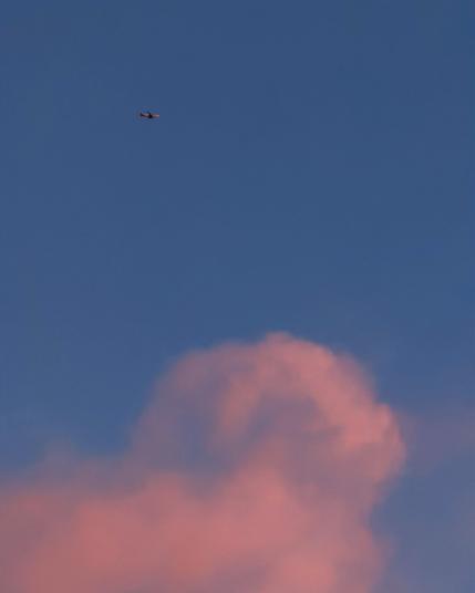A small airplane flies high in a clear sky above a large fluffy cloud glowing pink in the soft light of sunrise.