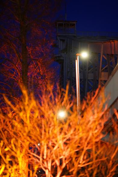 Rot angeleuchtete Zweige, dahinter Metallkonstruktion der Brücke