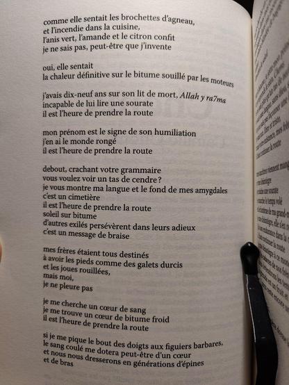 comment elle sentait les brochettes d'agneau,
et l'incendie dans la cuisine,
l'anis vert, l'amande et le citron confit
je ne sais pas, peut-être que j'invente

oui, elle sentait
la chaleur définitive sur le bitume souillé par les moteurs

j'avais dix-neuf ans sur son lit de mort, Allah y ra7ma
incapable de lui lire une sourate
il est l'heure de prendre la route

mon prénom est le signe de l'humiliation
j'en ai le monde rongé
il est l'heure de prendre la route

debout, crachant votre grammaire
vous voulez voir un tas de cendre ?
je vous montre ma langue et le fond de mes amygdales
c'est un cimetière
il est l'heure de prendre la route
soleil sur bitume
d'autres exilés persévèrent dans leurs adieux
c'est un message de braise

mes frères étaient tous destinés
à avoir les pieds comme des galets durcis
et les joues rouillées,
mais moi,
je ne pleure pas

je me cherche un coeur de sang
je me trouve un coeur de bitume froid
il est l'heure de prendre la route

si je me pique le bout des doigts aux figuiers barbares,
le sang coulé me dotera peut-être d'un coeur
et nous nous dresserons en générations d'épines
et de bras