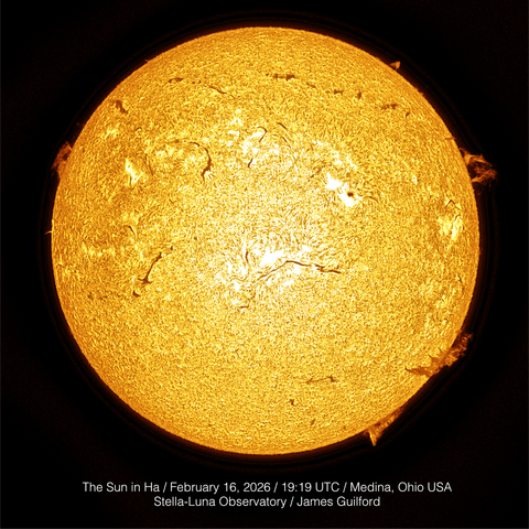 The full circle disk image of the sun in hydrogen-alpha light (false color applied) depicts our local star with flame-like prominences at multiple locations around the rim -- the filament/prominence -- filaprom -- feature is at about the four o'clock position on the disk