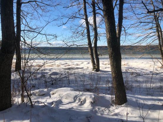 Photo of a cold, slightly frozen sea from the snowy shore through some leafless trees.