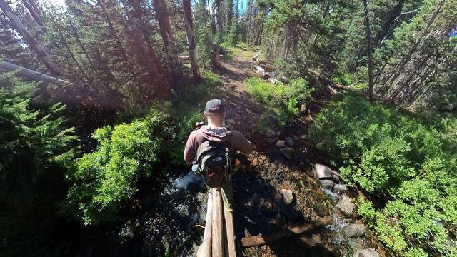 One of a series of summertime photos showing a person hiking through a dense evergreen forest in Oregon.