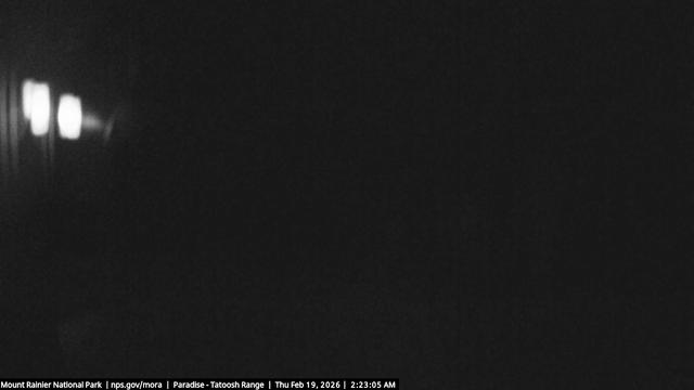 Looking south towards the Tatoosh Range from Paradise.