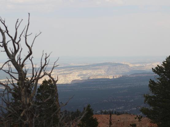 View of hazy valley beyond forested cliffs