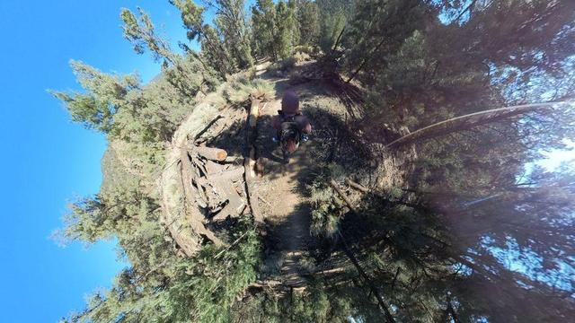 One of a series of clear-blue-sky summertime photos showing a person hiking through the South Sierra Wilderness in central California. The dry, rocky, mountainous terrain features pinyon pine and juniper woodlands, and the occasional cactus.