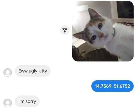 The image is a screenshot of a text conversation. On the right side is a photo of a cat with a calico pattern, featuring a mix of white, black, and orange fur. The cat has a curious expression, with wide eyes and upright ears, and is set against a blurred indoor background. To the left of the image are two text bubbles. The first bubble says, "Eww ugly kitty," followed by a bubble that reads, "I'm sorry." Below the cat's photo is another text bubble containing the coordinates "14.7569, 51.6752" written in blue.
