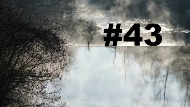 Un oiseau posé sur le bord d'une petite cascade sur un cours d'eau. Un arbre sur la gauche. Au-dessus de l'eau, des brumes de vapeurs. L'eau au premier plan semble sans mouvement, tandis qu'après la cascade le cours d'eau se transforme en torrent. Sur la droite le numéro de la chronique précédé d'un dièse.
