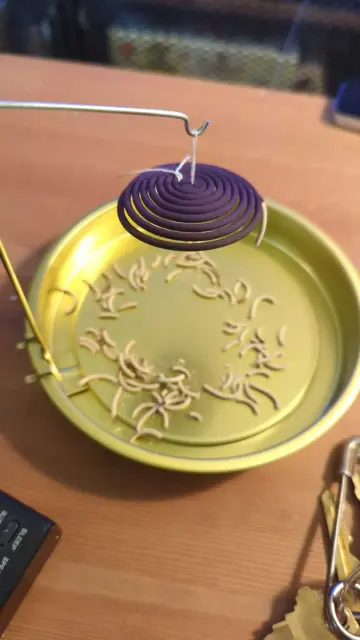 A burning purple coil of incense suspended by a string over a round tray to catch the falling ash. There is plenty left!