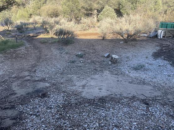 Looking up that trail, the water from it goes to the left.  But water also sheets down that whole hillside and deposits silt on the road.