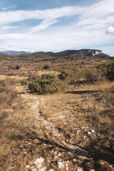 Un sentier caillouteux bordé de garigue se faufile en direction du Mont Agonès et de falaises calcaires abruptes