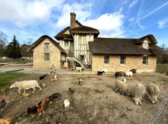 Ein Bauernhof mit Schafen und Hühnern im Schloss Versailles
