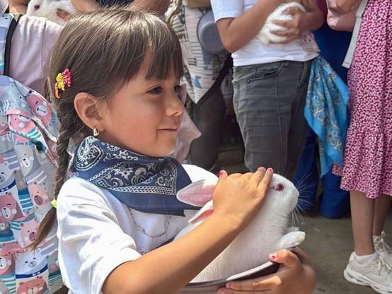 Niña con conejo como mascota
