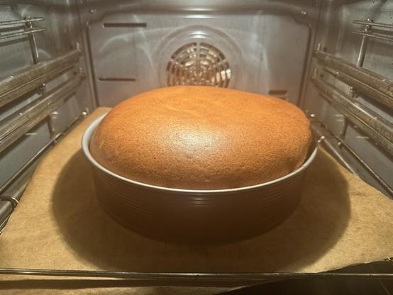 Ein Kuchen backt in einem Ofen und geht in einer runden, schwarzen Backform auf. Das Innere des Ofens ist sichtbar und zeigt Metallgestelle und einen Ventilator.