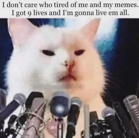 A white cat in front of multiple microphones, as if at a press conference.

Transcribed Text:

I don’t care who tired of me and my memes. I got 9 lives and I’m gonna live em all.