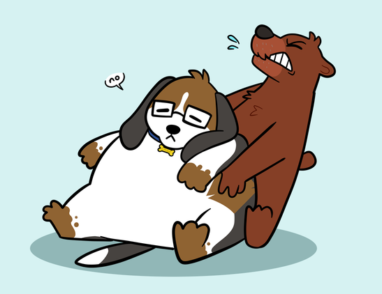 Barnem trying to pull Range, who is sitting and refusing to be helpful. By @tigerdad.bsky.social ft @barnem.wobbl.xyz.ap.brid.gy