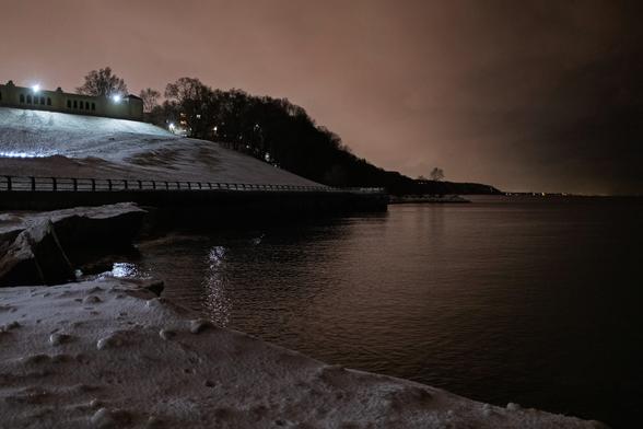 a far off single tree, along the way to Scarborough bluffs