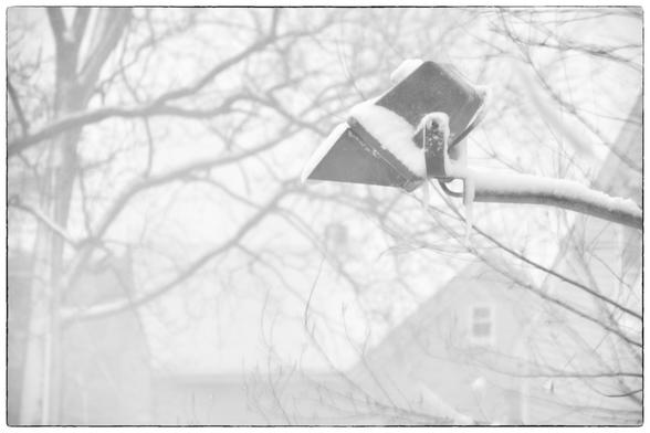 A snow-covered streetlamp is partially visible among snow-laden branches in a foggy winter scene. The image is in black and white, emphasizing the cold and atmospheric conditions.